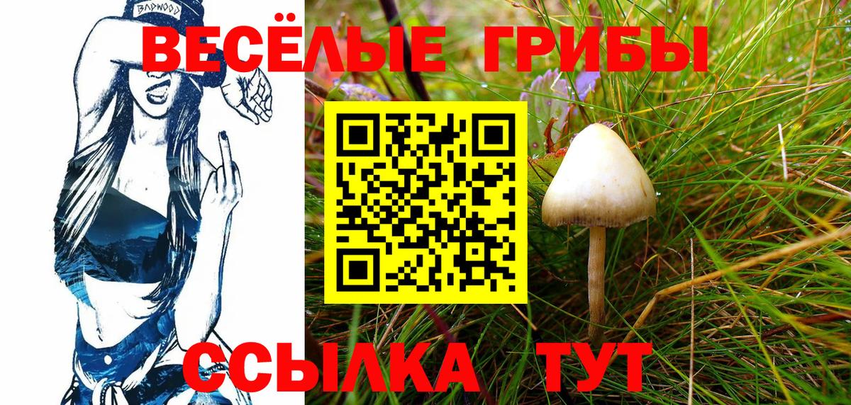 Котовск  Псилоцибиновые грибы Cubensis  Вход с VPN 