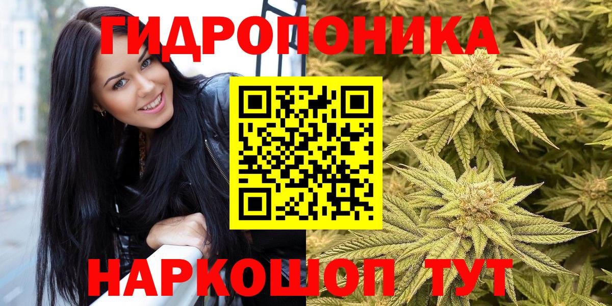 Бошки Шишки семена  Вход с VPN  Шишки марихуана марихуана  Котовск 